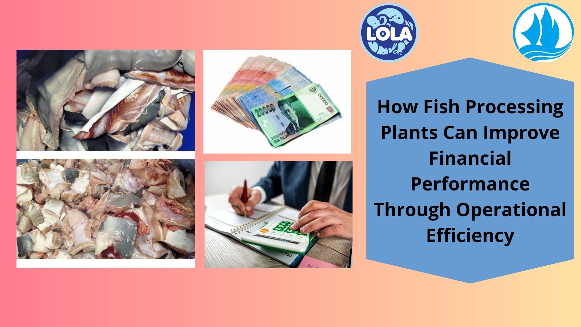  How Fish Processing Plants Can Improve Financial Performance Through Operational Efficiency
